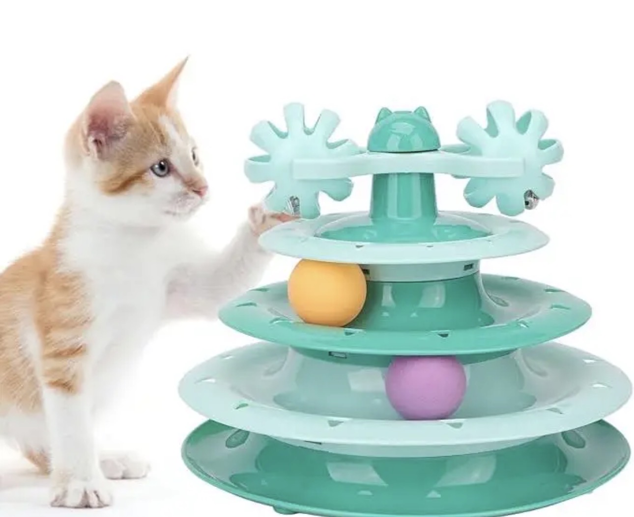 Jouets Chat