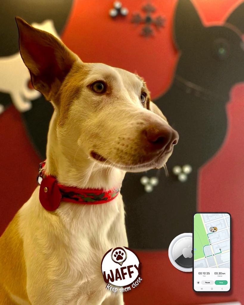 Étui en cuir WAFFY pour AirTag (Apple )