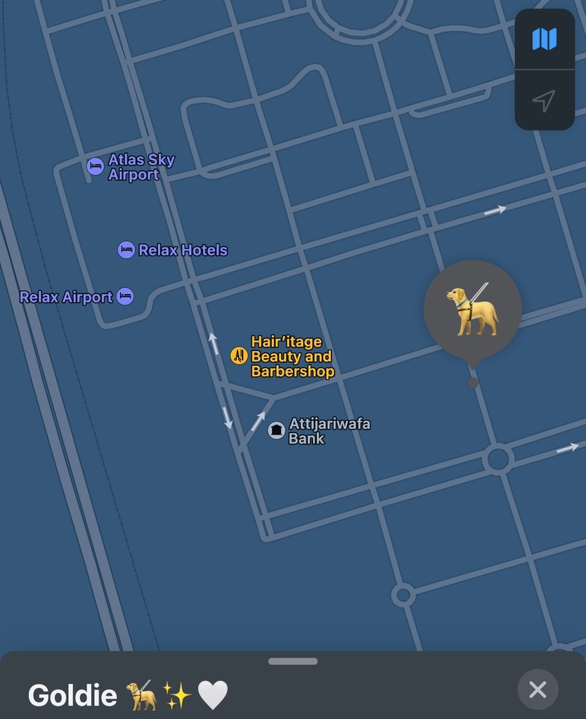 AirTag  (GPS Apple)