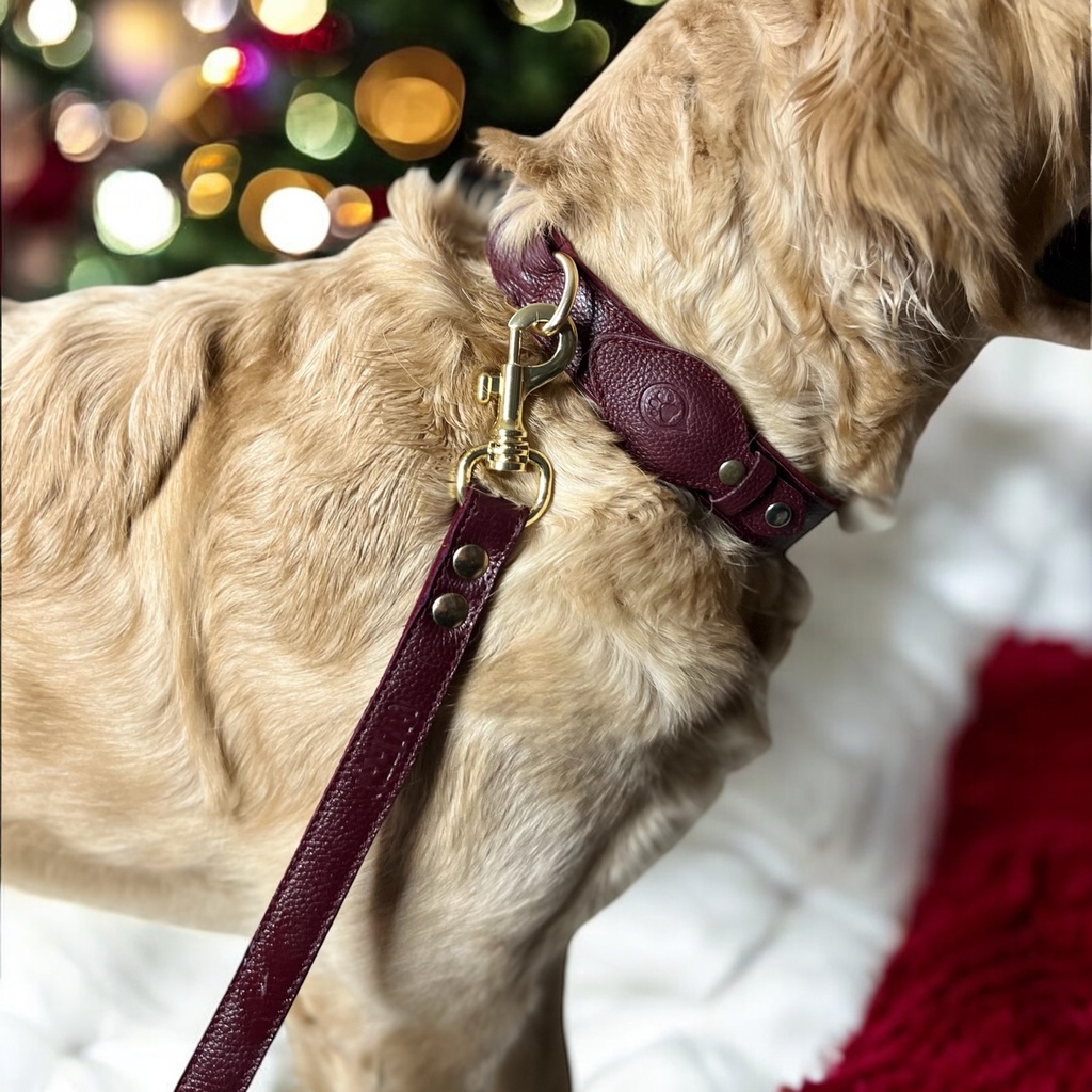 Laisse en cuir WAFFY