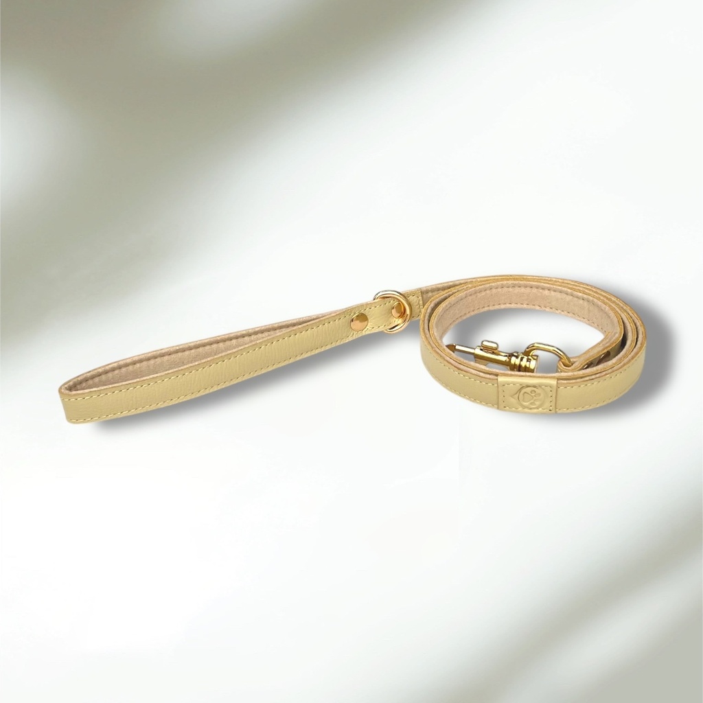 Laisse en cuir WAFFY