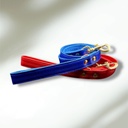 Laisse en cuir WAFFY