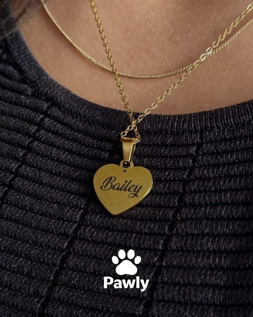 Collier Cœur Précieux – Portrait Gravé de Votre Compagnon 