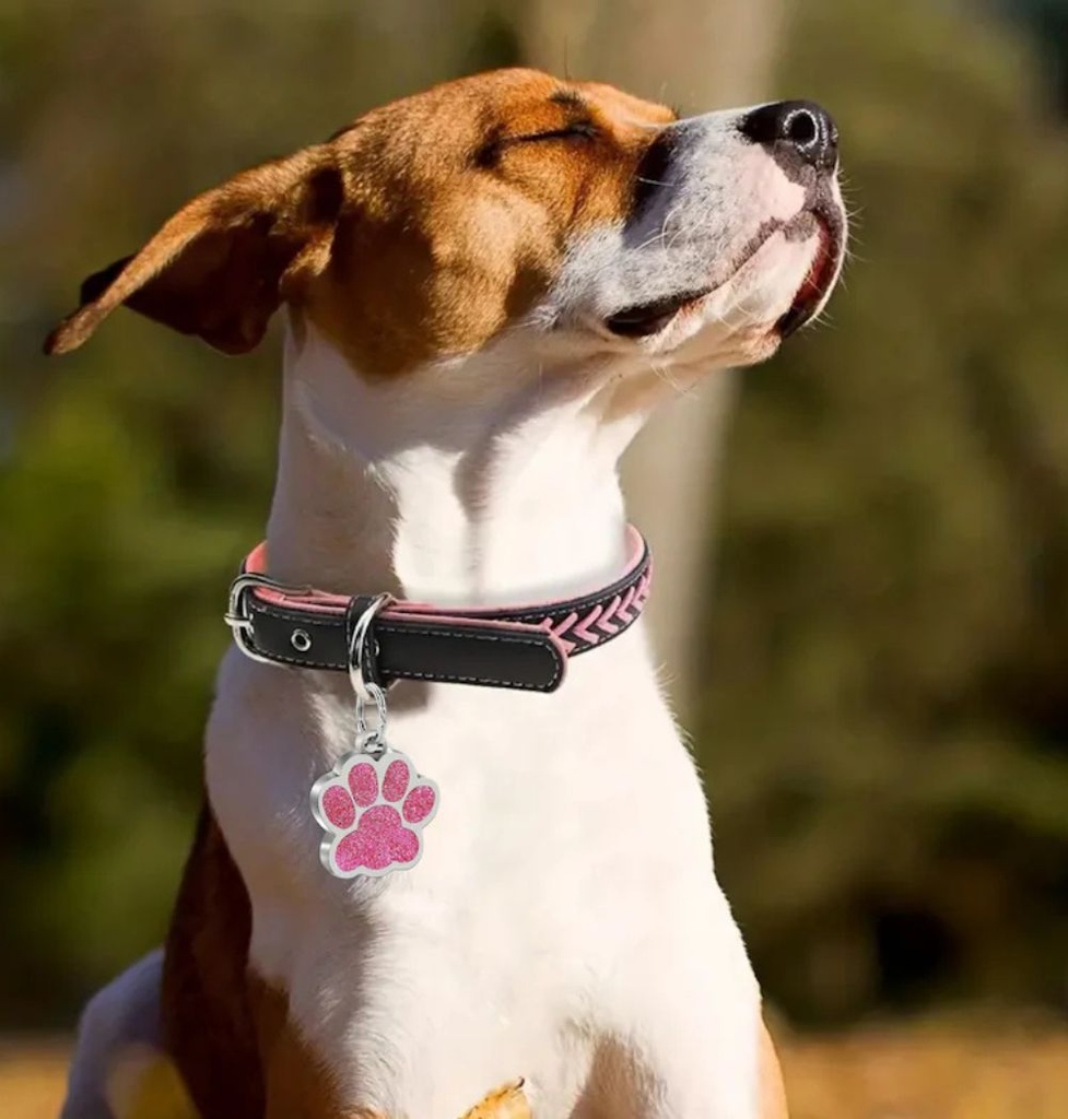 Patte Scintillante Personnalisée 