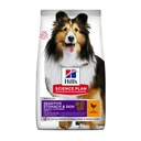 Hill’s Science Plan Aliment Pour Chien Adulte De Taille Medium Et Grande Sensitive Stomach and Skin Au Poulet 14kg