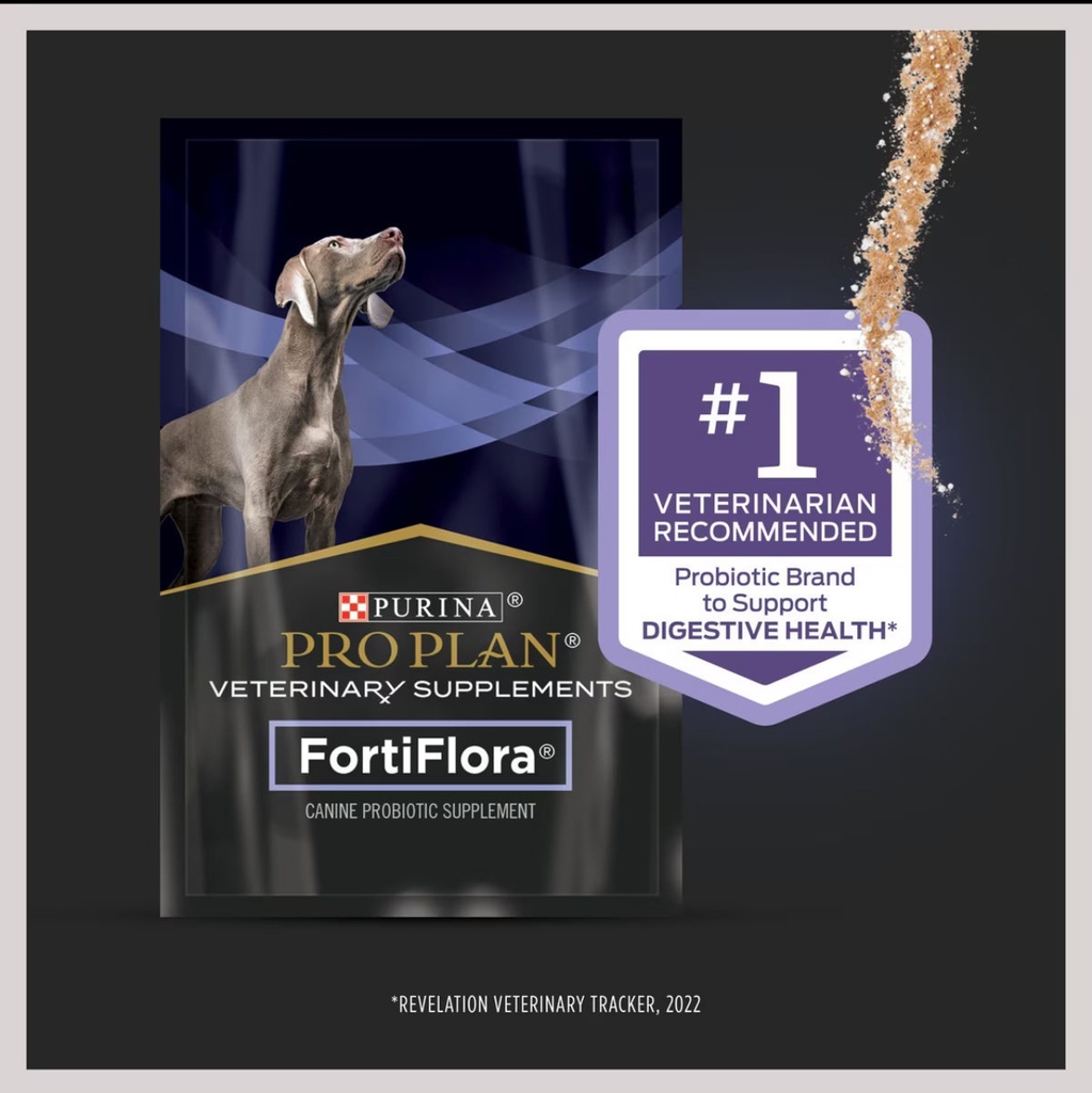 Fortiflora chien sachet individuel 