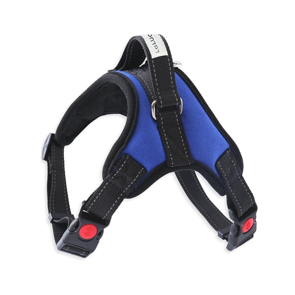 Harnais pour Chien – Harnais Ajustable Rembourré avec Poignée
