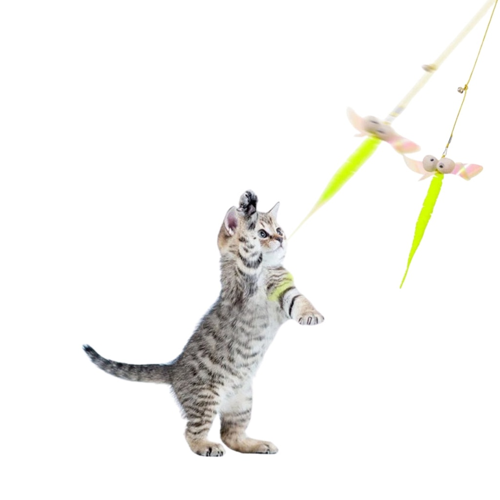 Jouet Suspendu pour Chat – Corde Élastique Réglable avec Souris