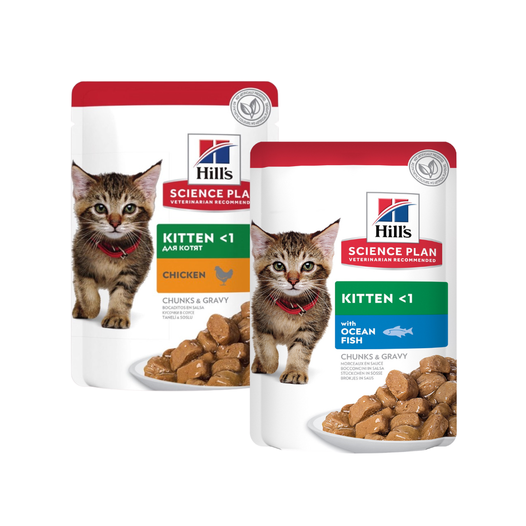 Sachets repas pour chaton Hill’s Science Plan – Poulet et Poisson en sauce (Pack de 12 × 85 g)