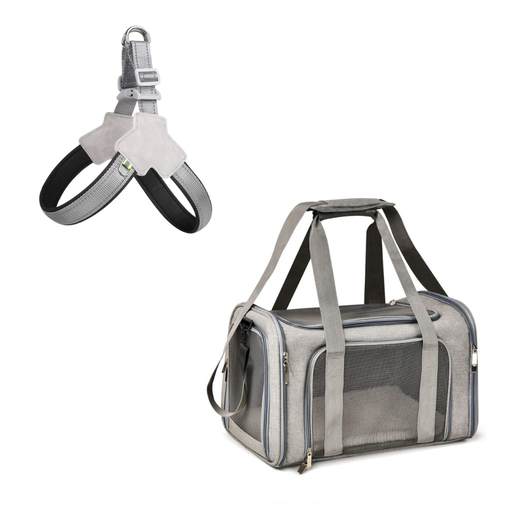 Sac de Transport + Harnais