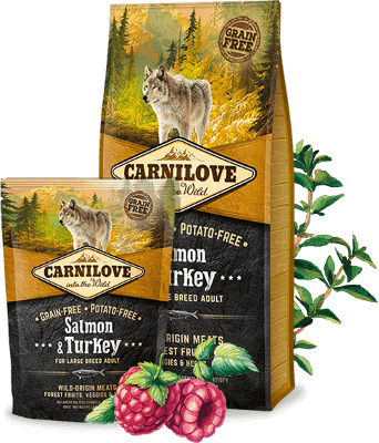 Carnilove Salmon & Turkey large breed adult 12Kg
