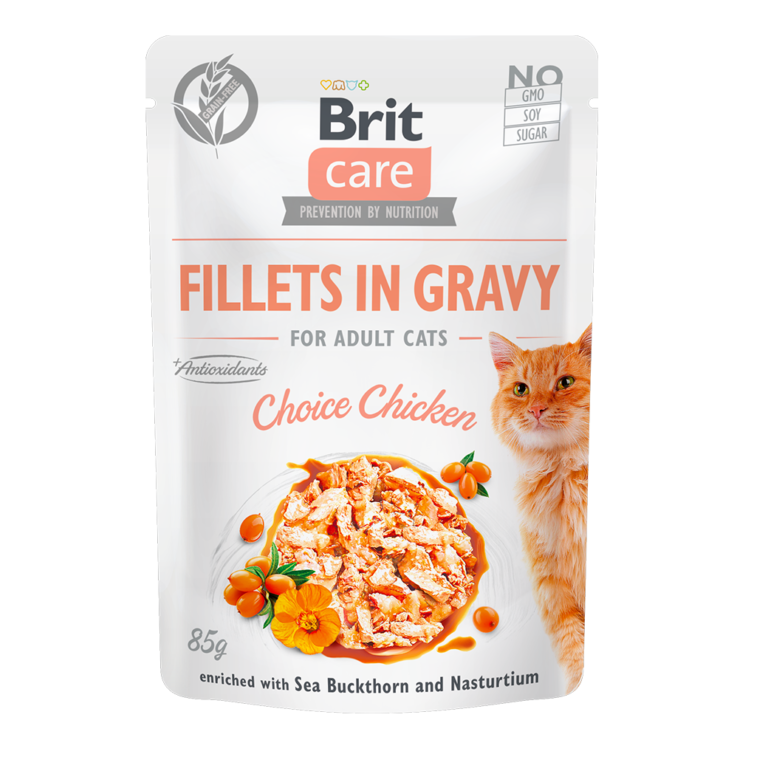 Brit Care Pochon en Sauce Poulet 85g – Pâtée Chat à Casablanca