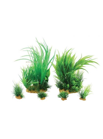 Kit Plantes Jalaya 1 Zolux