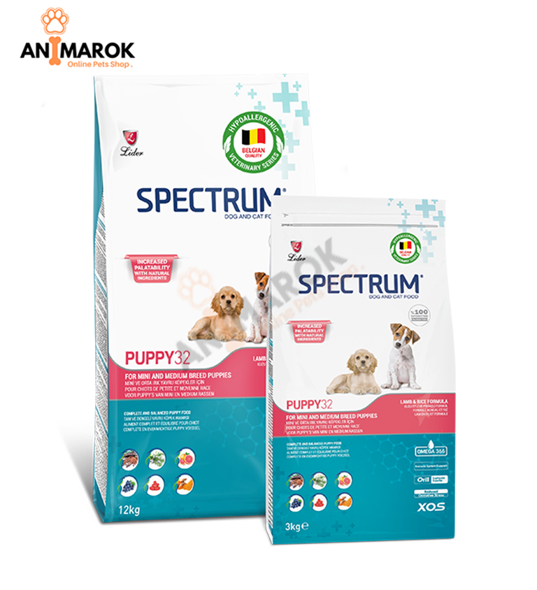 CHIOT SPECTRE 32 – N... — 3KG