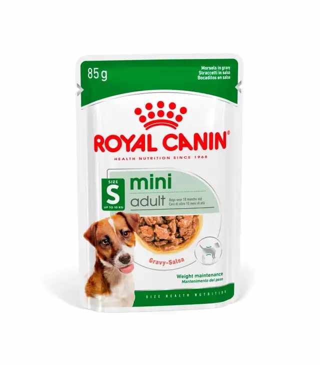 Croquettes Royal Canin Siamese Adult