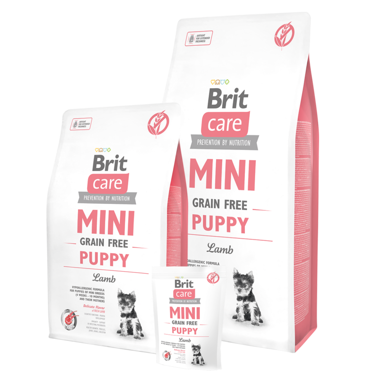 Brit Care Mini Grain Free Adult Agneau  2KG