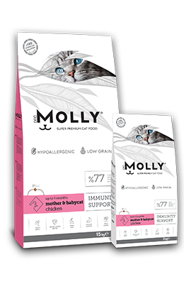 Molly Kitten & Mother Chicken 2kg