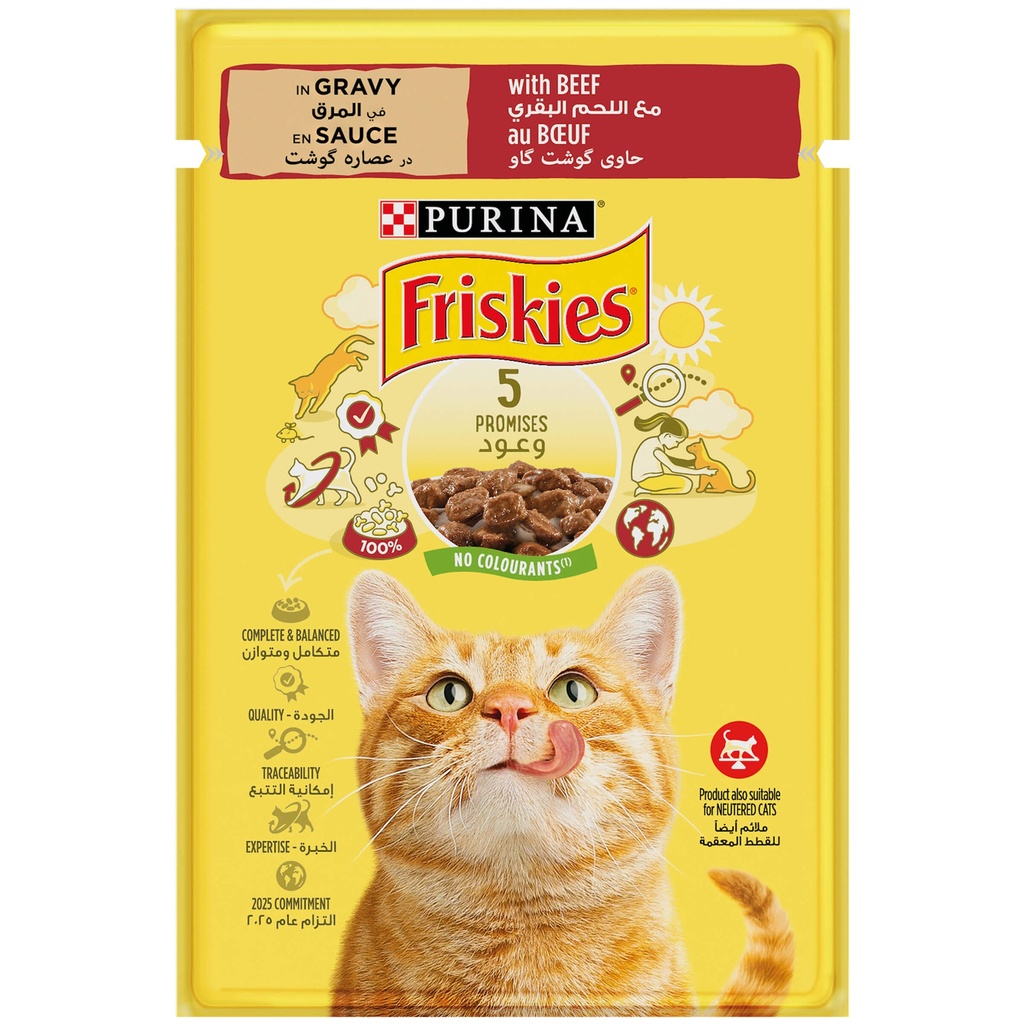 Friskies Cat Pate Beef 400g
