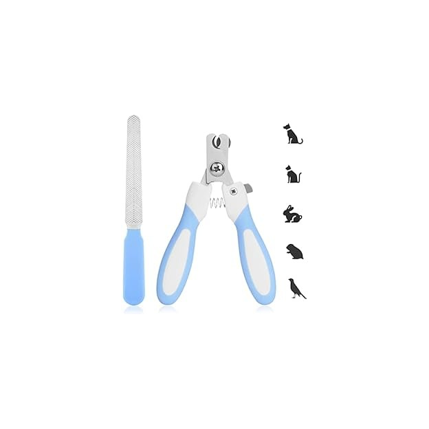 FOND DECOR CORBAIL/BLEU H30 L40