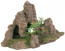 ROCHER ESCALIER AVE PLANTE 22CM