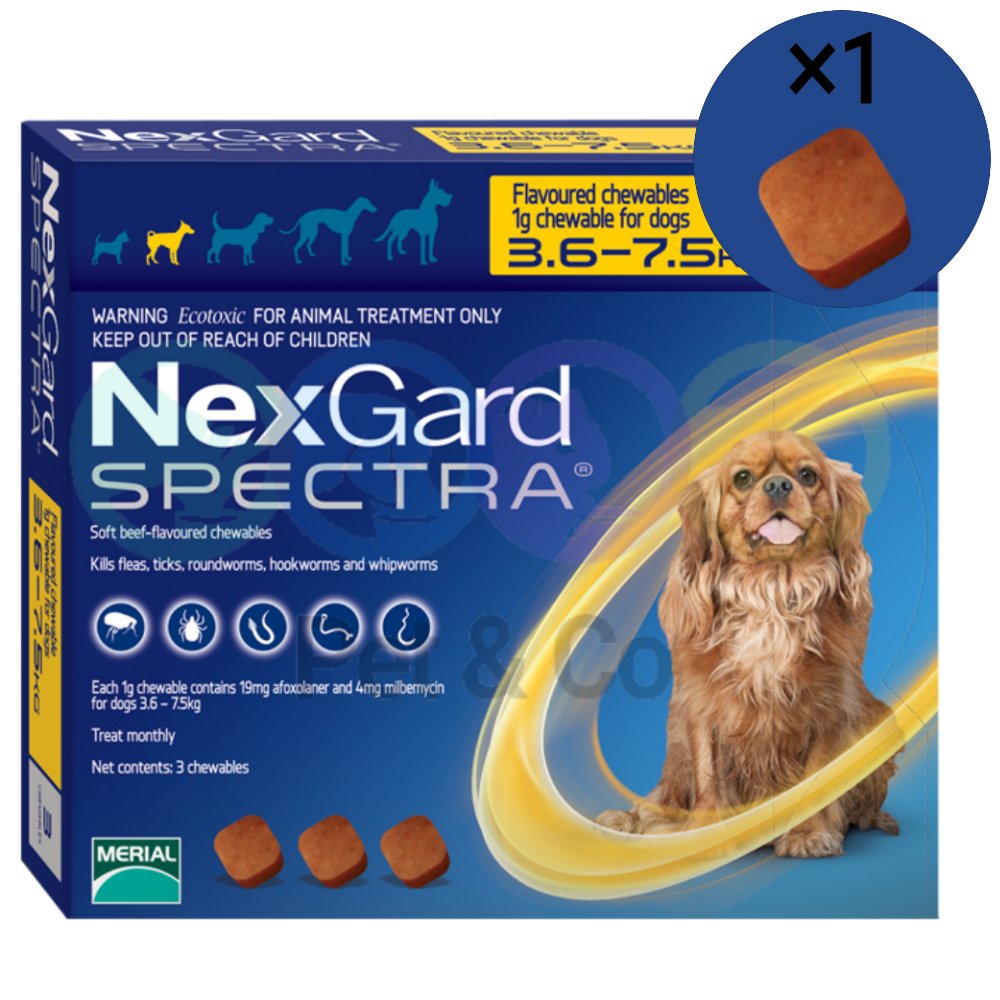 Nexgard Dewormer for Dogs 3.6-7.5kg - 1 tab