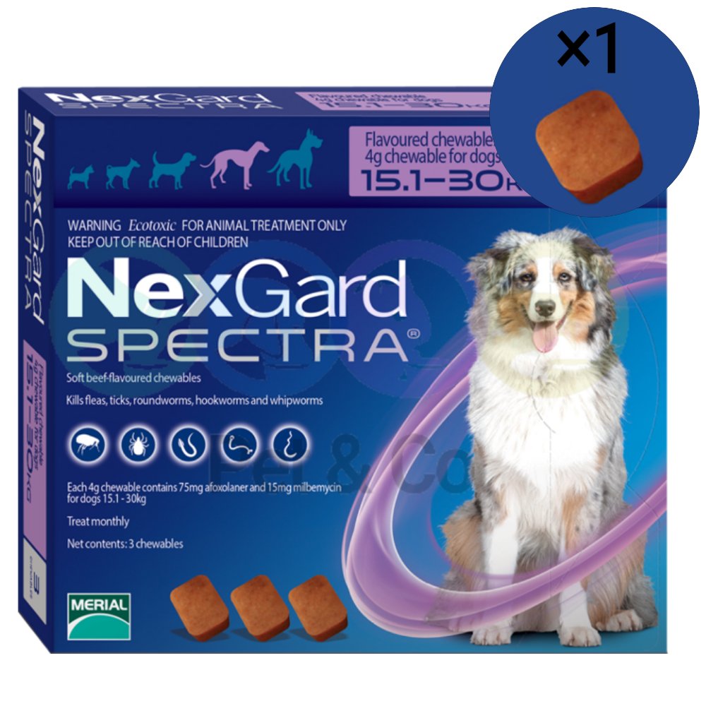 Nexgard Dewormer for Dogs 15.1-30kg - 1 tab