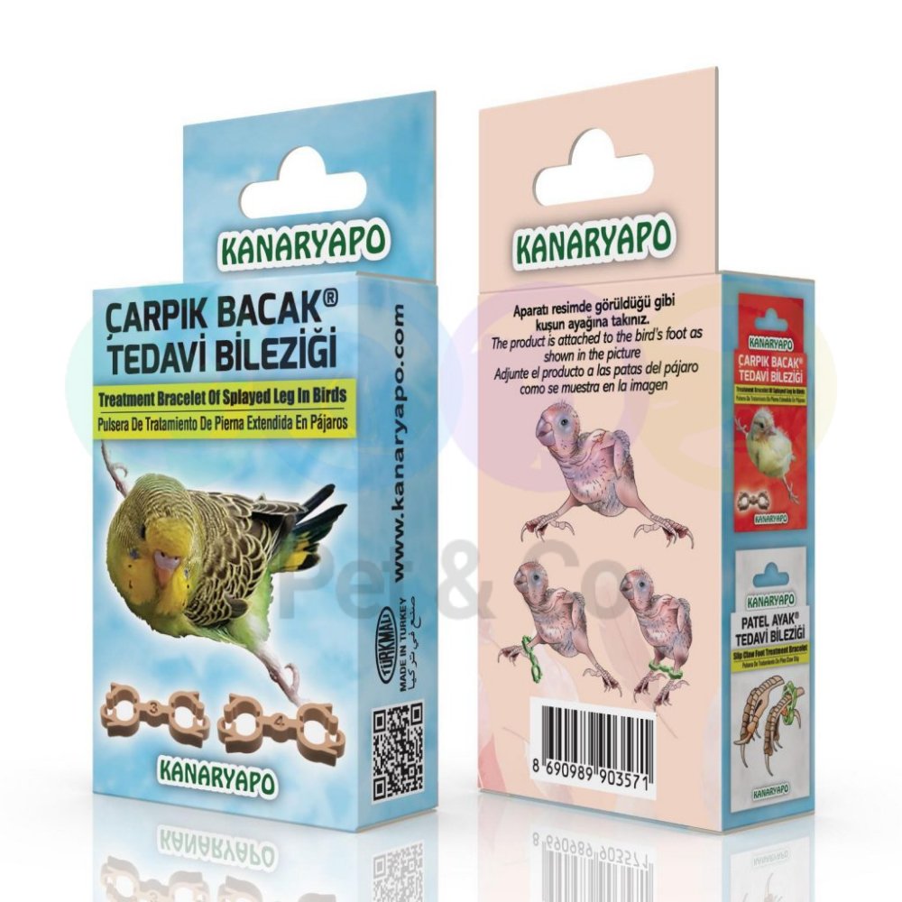 Bracelet de traitement des jambes tordues chez les perruches