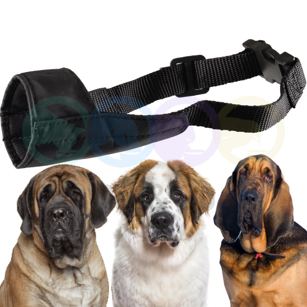 Muselière Ned Nylon Noir XXL