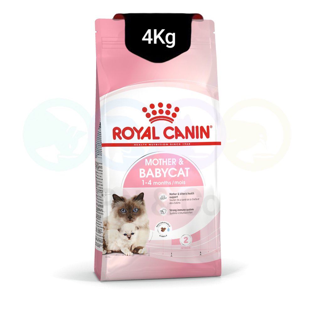 Royal canin Kibbles for Kittens & Pregnant Cats 4kg