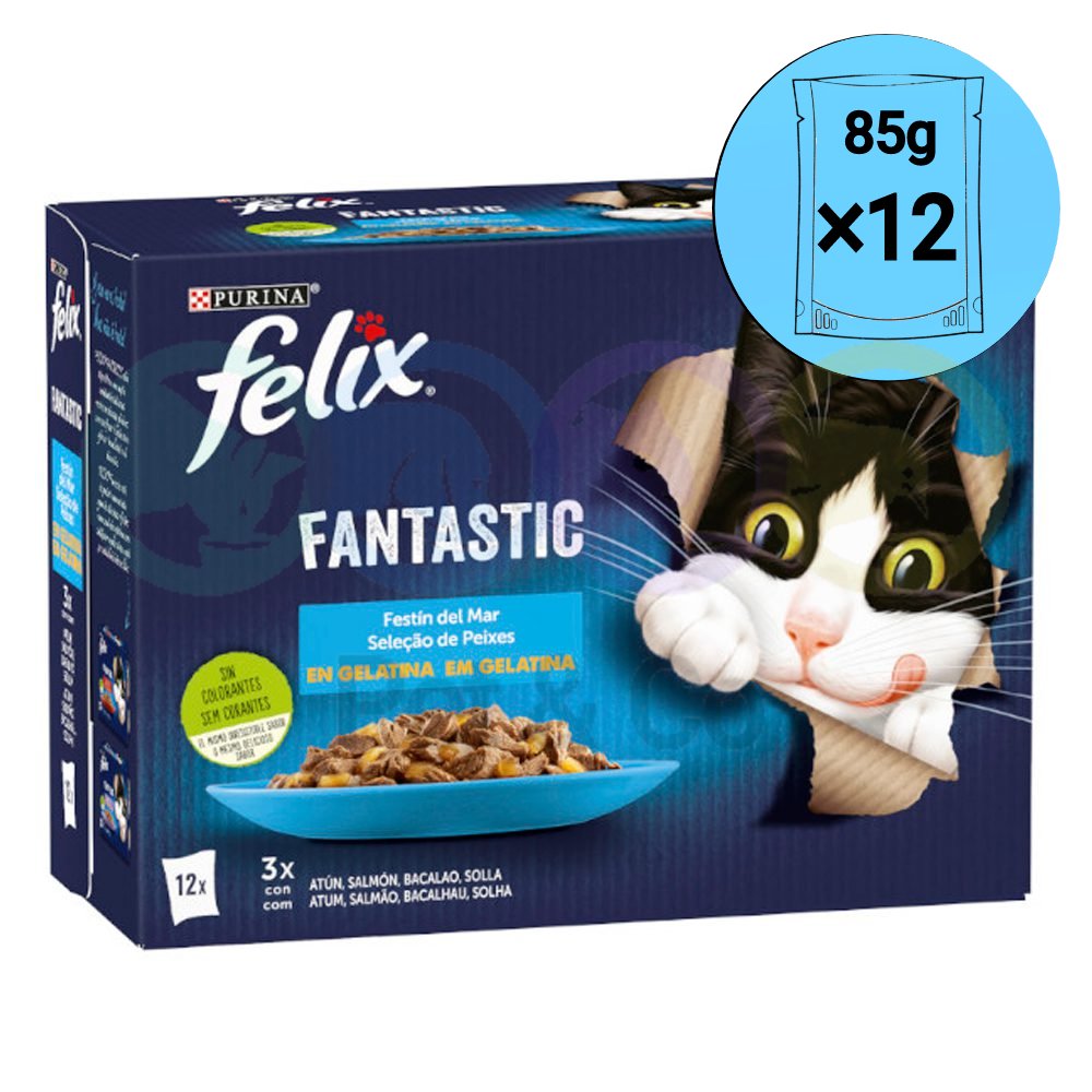 Lot Felix Chunks in Jelly for Cats with Fish 12×85g