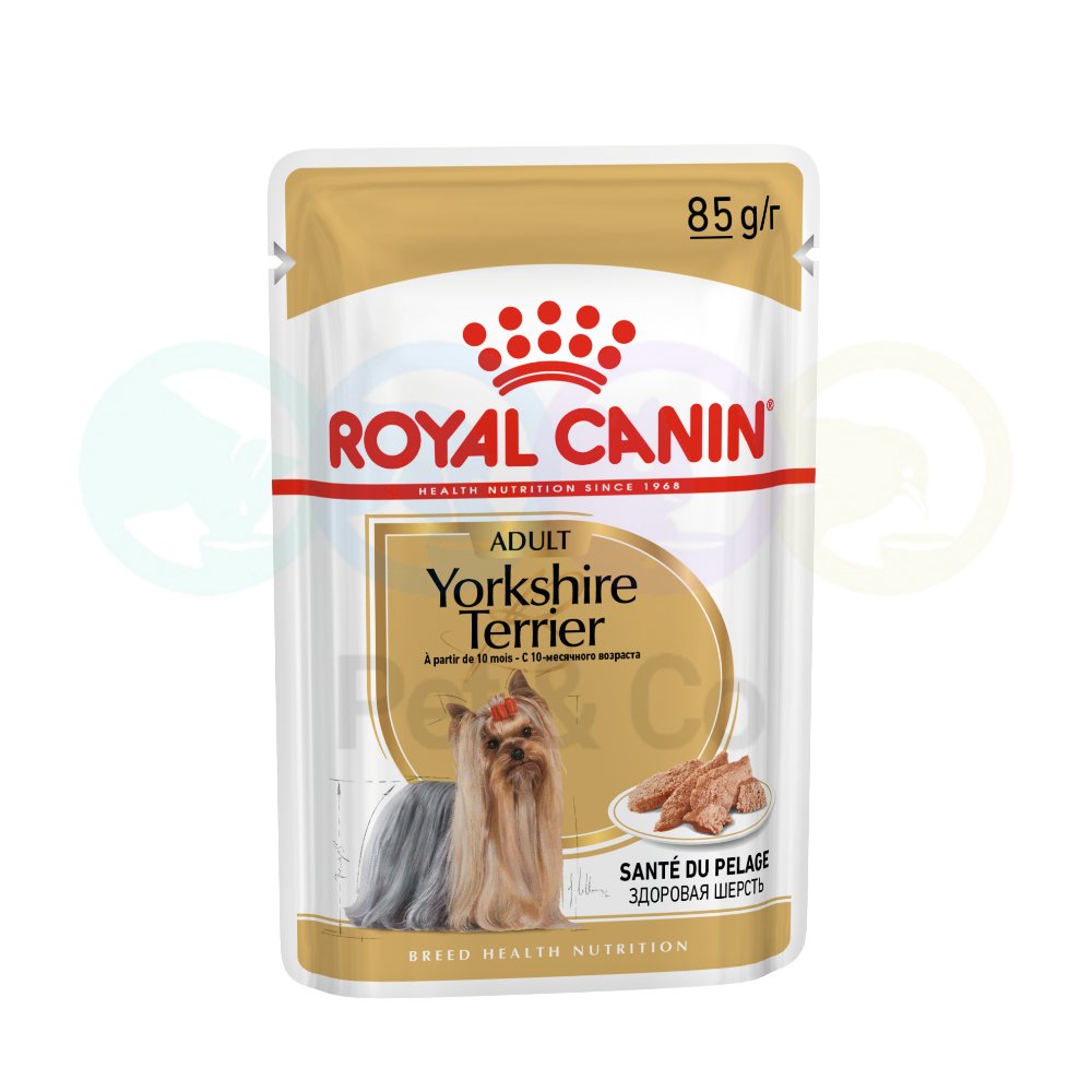 Royal Canin Loaf for Yorkshire Terrier 85g