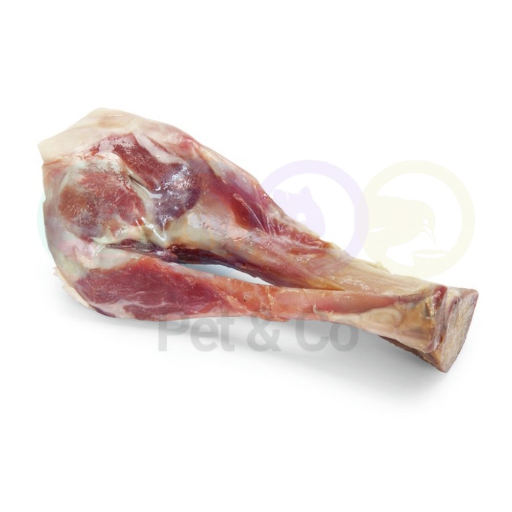 Ham Bone Tibia for Dogs Camon