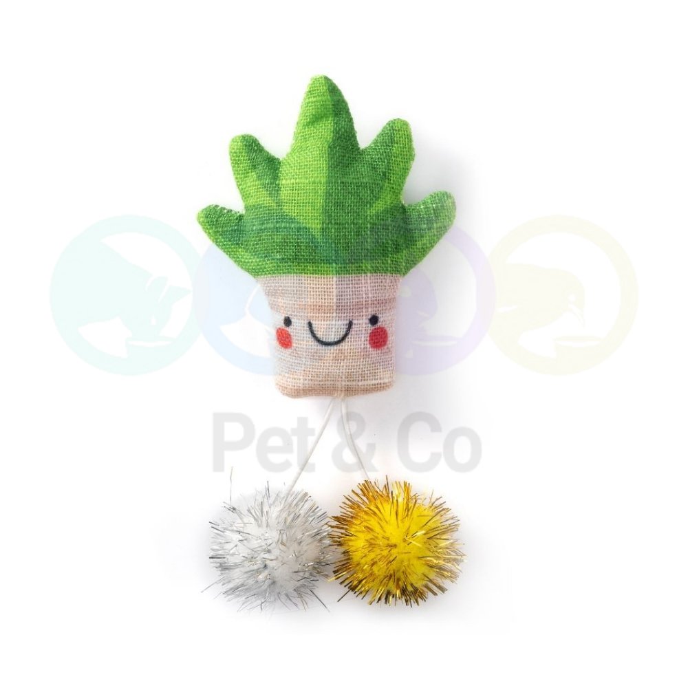 Cat toy Woven Aloe vera with pom poms & catnip