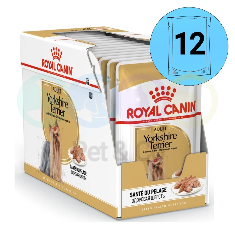 Lot Royal Canin Loaf for Yorkshire Terrier 12×85g