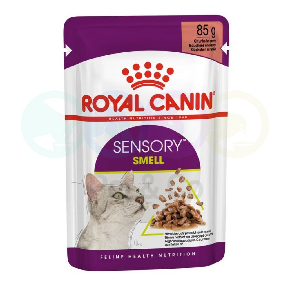 Royal Canin Chunks in Gravy for Cats Sensory Smell 85g