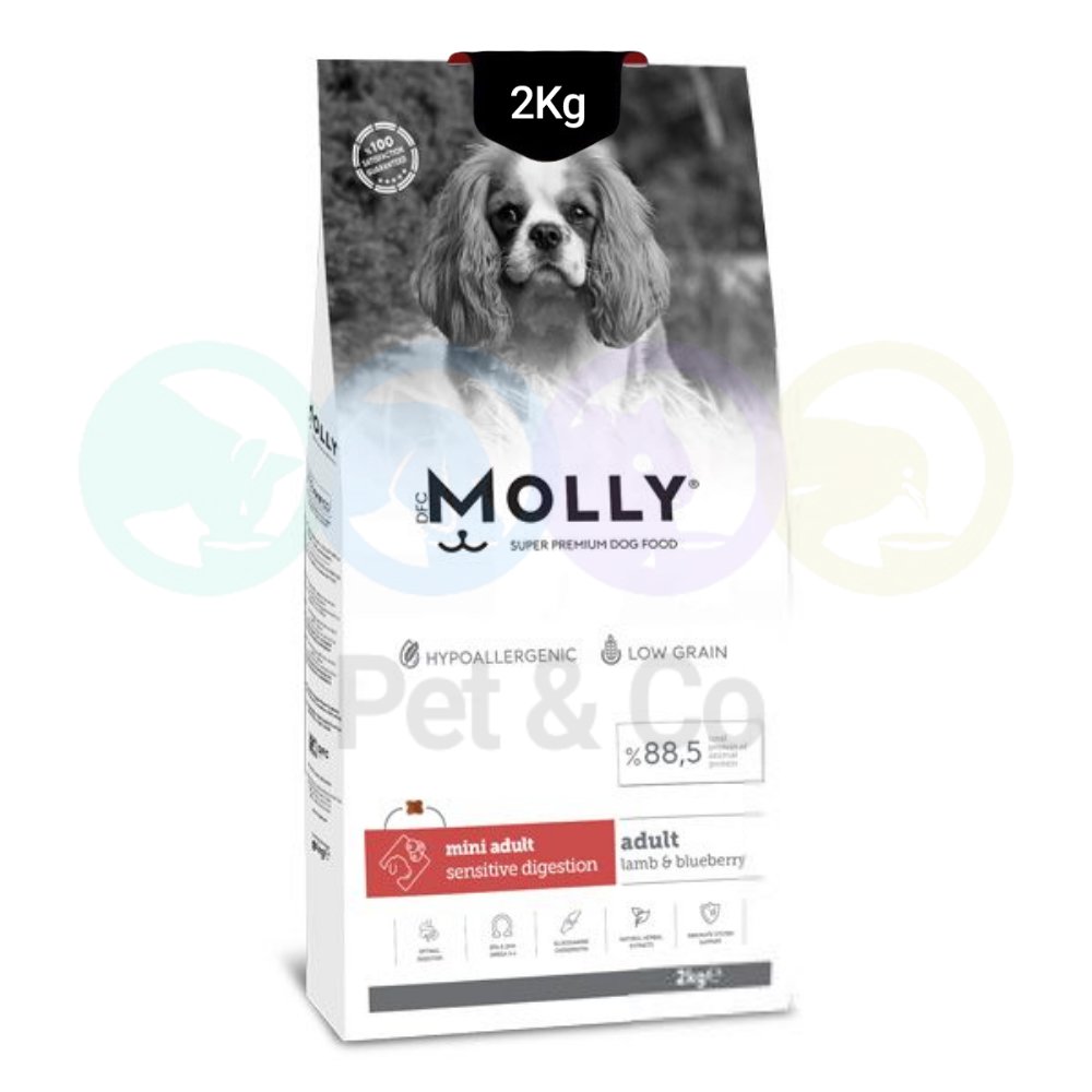 Molly Kibbles for Dogs Mini Breed with Lamb 2kg