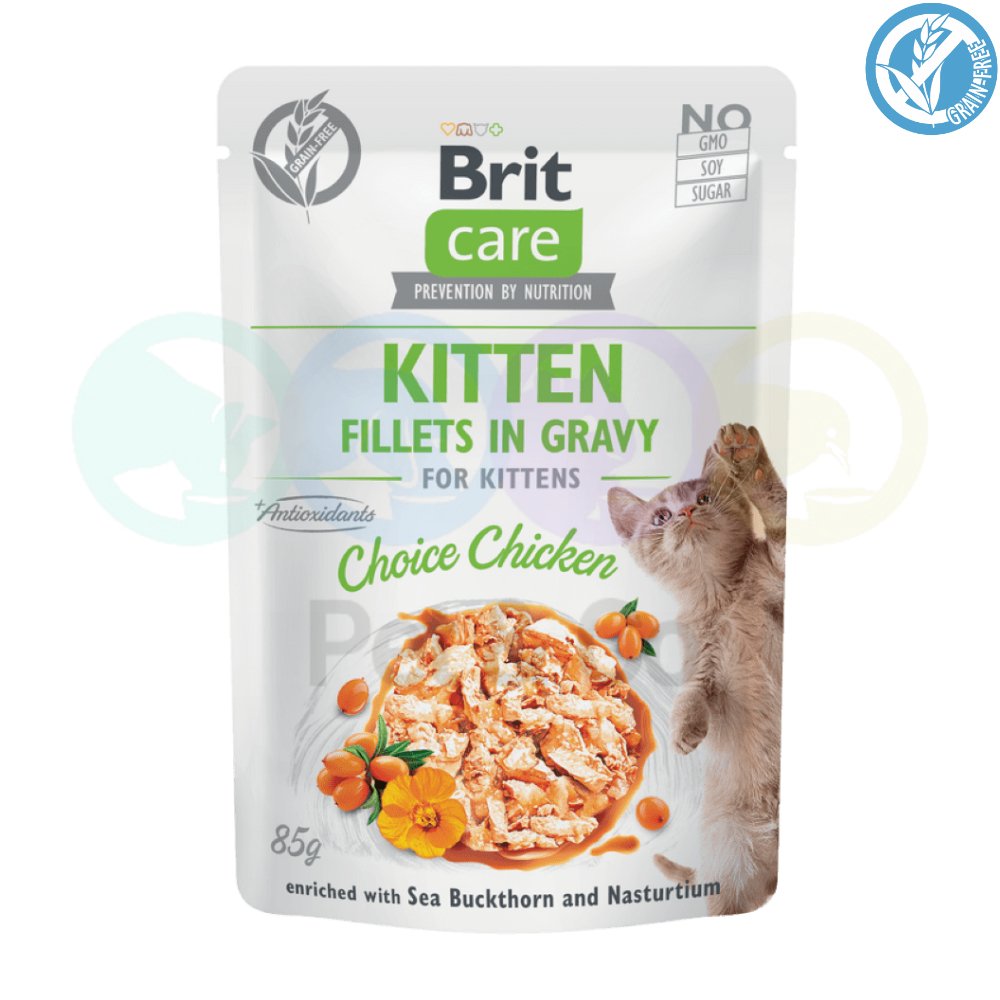 Brit Care Fillets in Gravy with Chicken for Kittens 85g