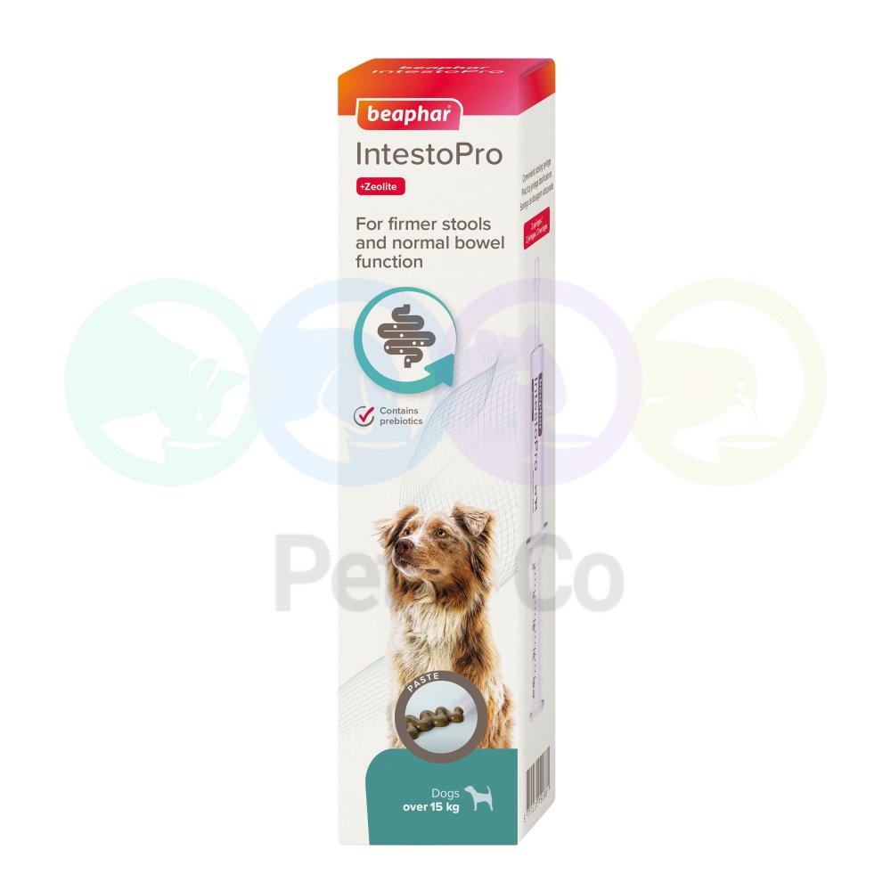 Beaphar IntestoPro Paste for Dogs of Medium & Large Breeds 2×20ml