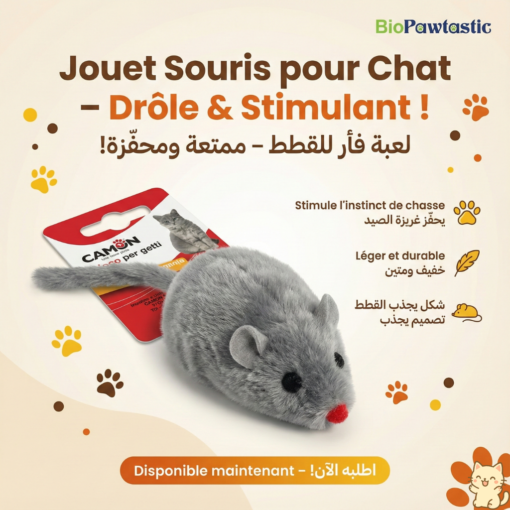Cat Mouse Toy