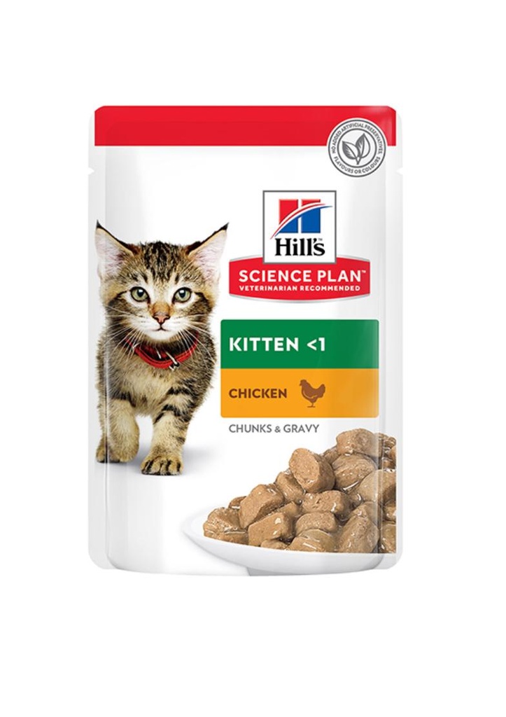 KITTEN <1 (CHUNKS & GRAVY)