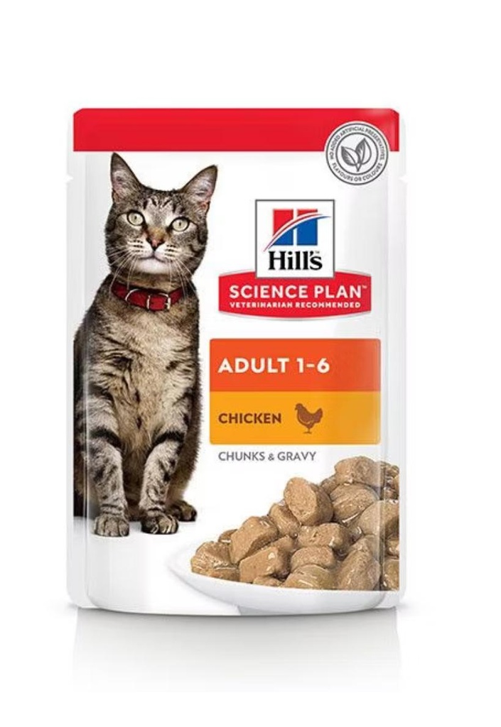 ADULT 1-6 (CHUNKS & GRAVY) 