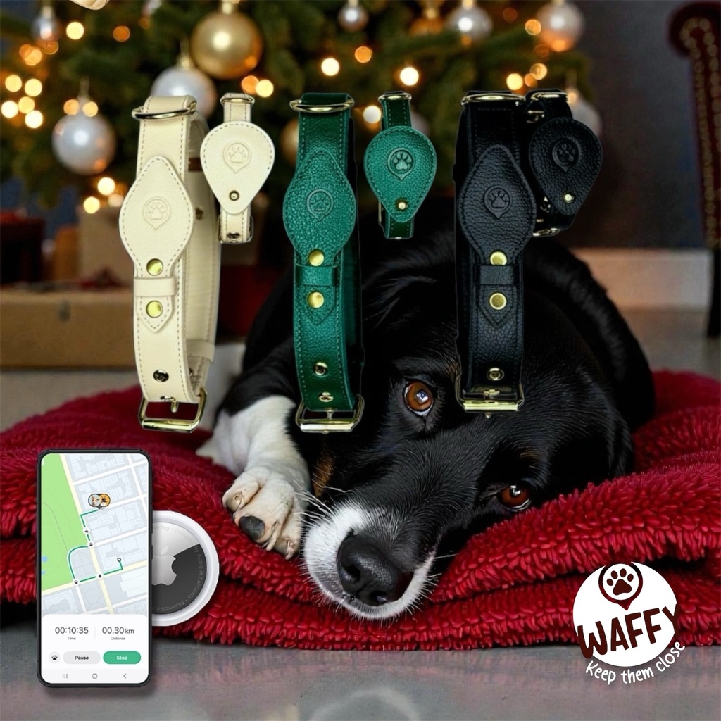 Collier en cuir WAFFY compatible AirTag 