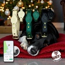 Collier en cuir WAFFY compatible AirTag 