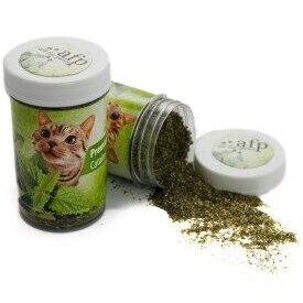 Herbe Catnip premium 25g