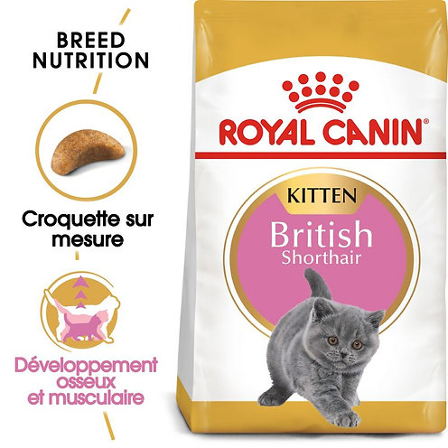 Royal Canin British Shorthair Kitten 2 kg