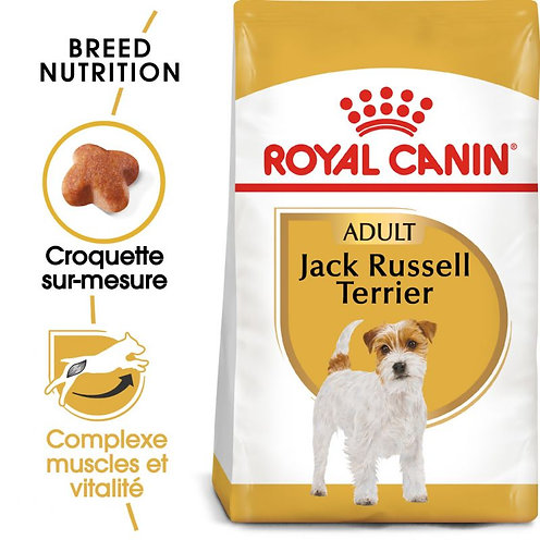 Royal Canin Jack Russell Adulte 3 kg