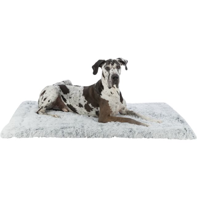 Tapis de couchage Harvey Peluche Long Poil en Velours 120×80 cm Noir/gris