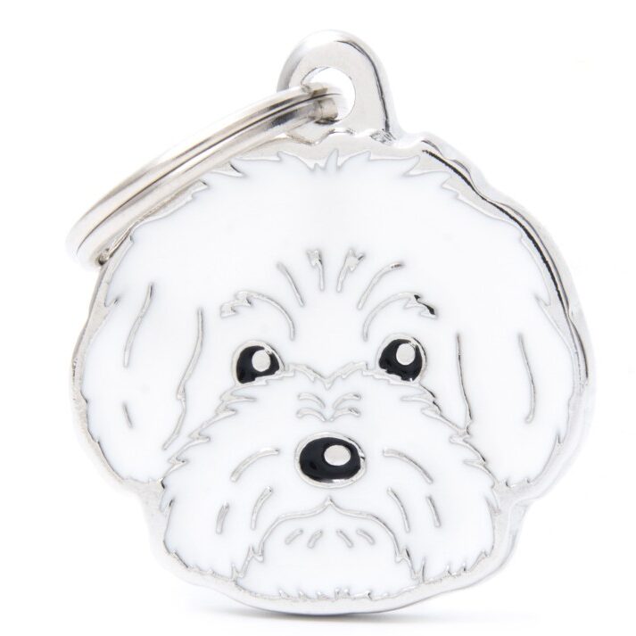 Médaille Friends Bolognese