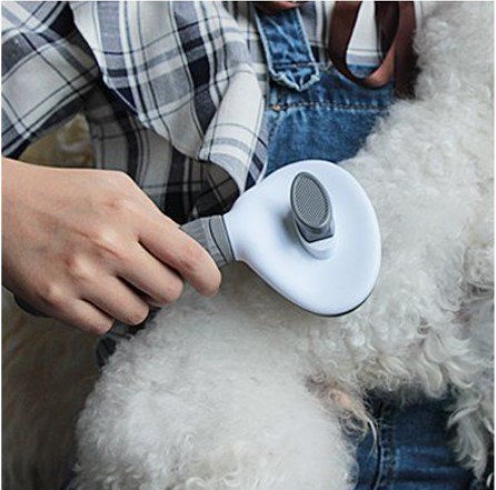 Brosse à Poils pour Chien