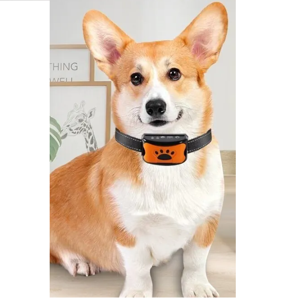 Collier anti aboiement avec vibration (sans danger pour le chien)